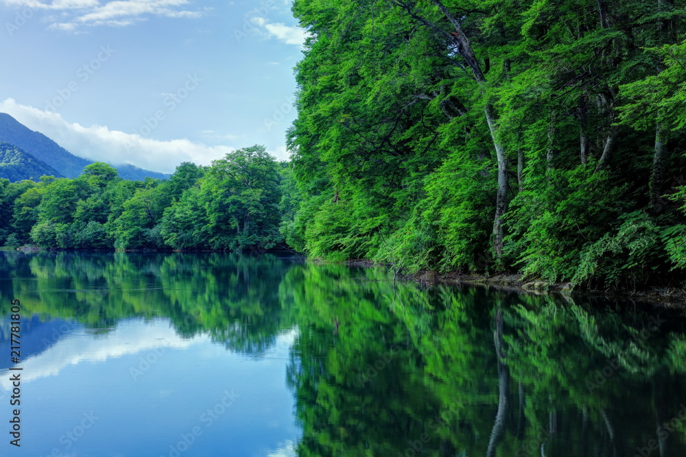 夏の鎌池