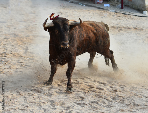 Wallpaper Mural bull in spain Torontodigital.ca