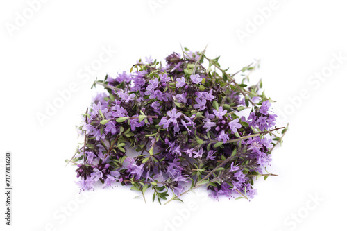 Pile of freshly cut wild thyme herb isolated on white background