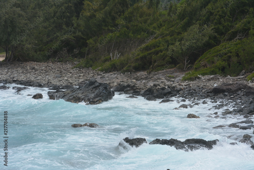 Fototapeta premium Rocky coastline on the north shore of maui, Hawaii