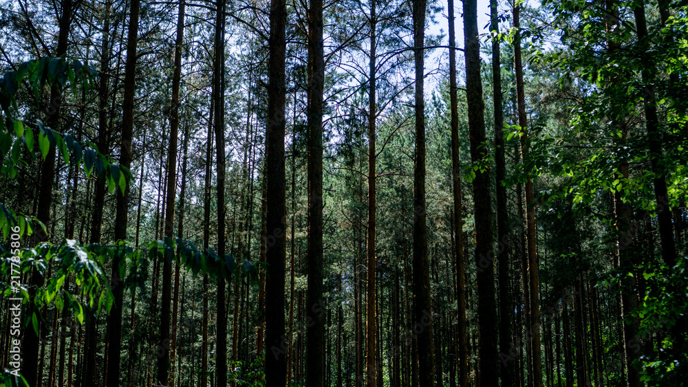 Es lohnt sich nach Klotsche zu kommen und vielleicht die Dresdner Heide zu besuchen