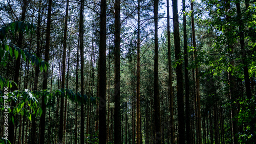 Es lohnt sich nach Klotsche zu kommen und vielleicht die Dresdner Heide zu besuchen