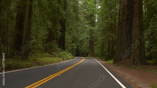 Driving POV on a portion of Avenue of the Giants through Humboldt Redwoods State Park, California. photo