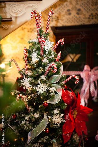 decorated christmas tree