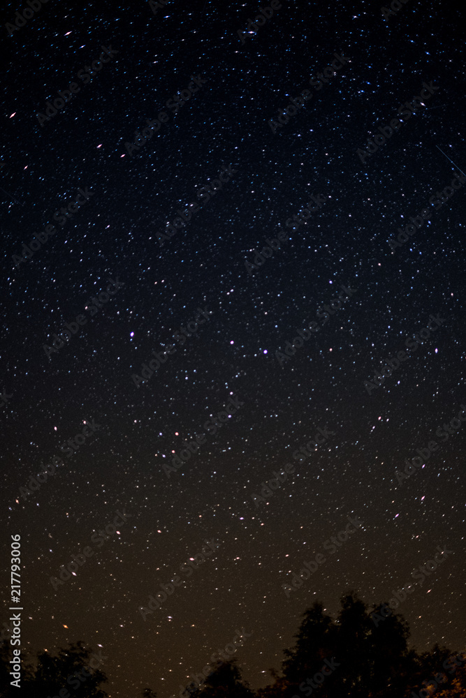  starlit sky at night above  trees 