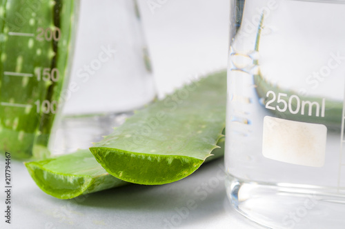 Natural beauty products and plant based clinical treatment concept with macro close up on an aloe vera plant leafs in a chemistry flask isolated on white background