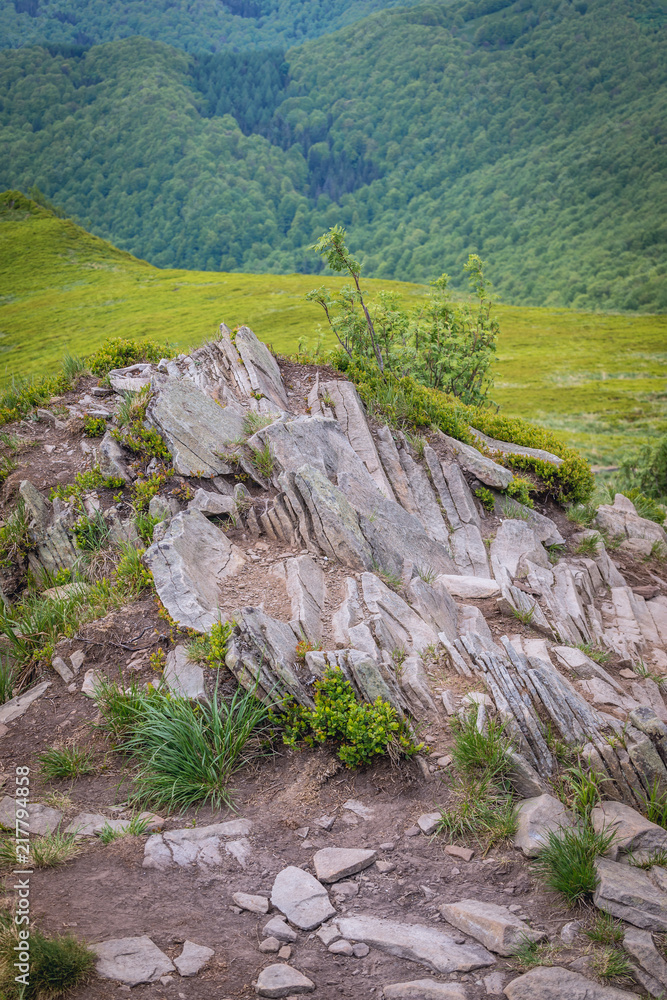 Fototapeta premium Wetlina hiking trail in Bieszczady National Park, Subcarpathian Voivodeship of Poland