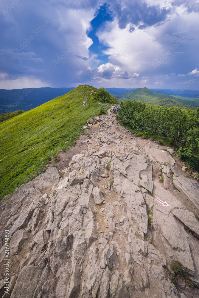 Fototapeta premium Landscape in Bieszczady National Park, Subcarpathian Voivodeship of Poland, view from Osadzki Wierch mountain