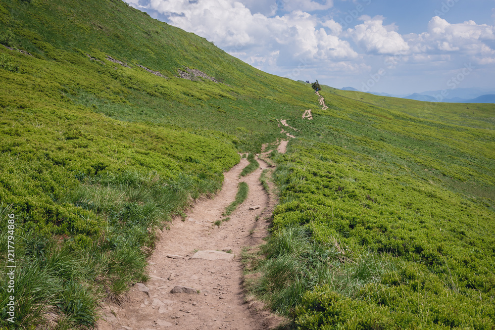 Fototapeta premium Path from Osadzki Wierch mountain in Bieszczady National Park, Subcarpathian Voivodeship of Poland