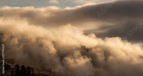 Clouds Covering Mountain Forest