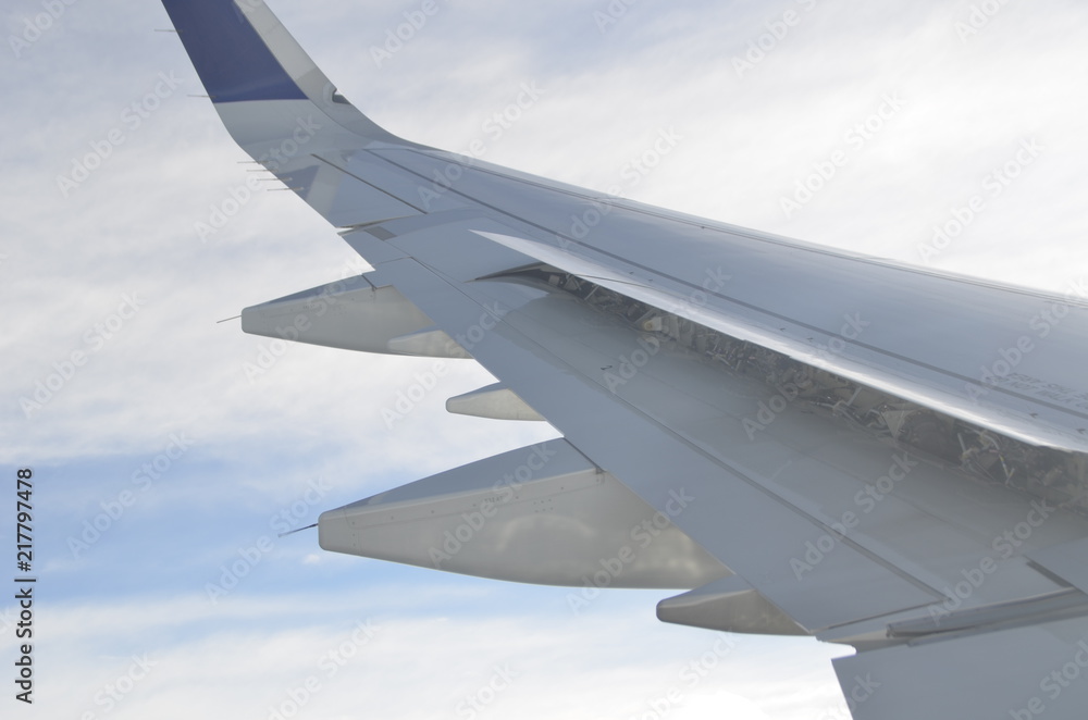 Obraz premium Plane Wing
