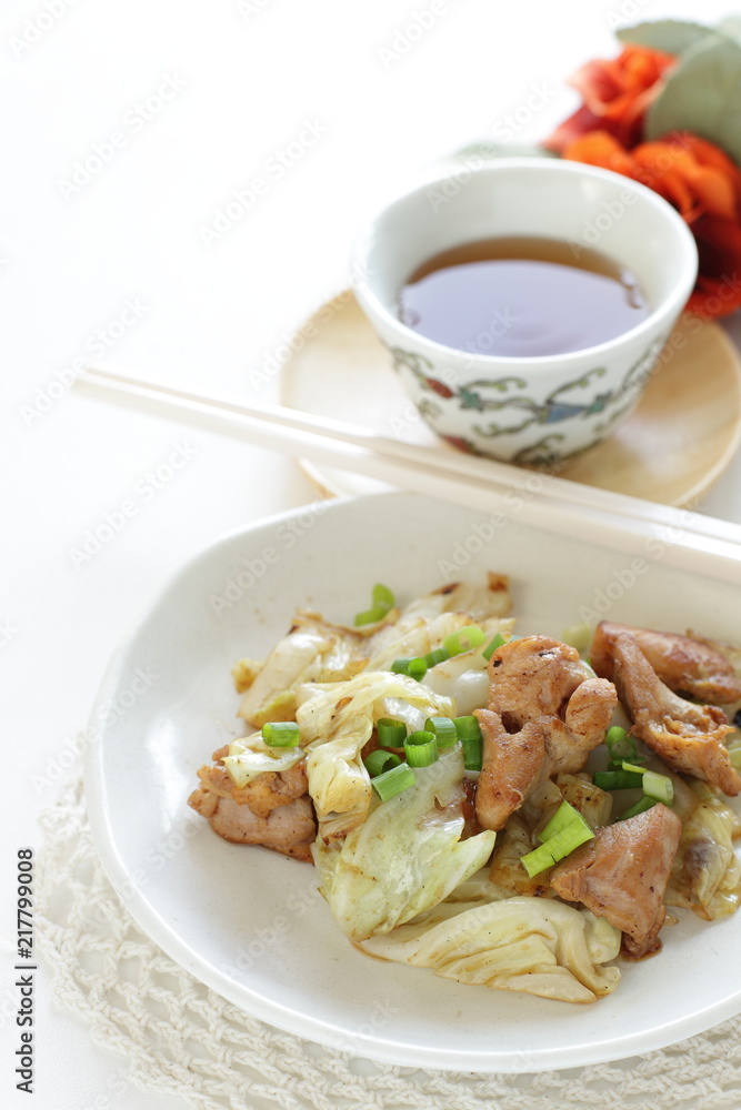 Chinese food, cabbage and chicken stir fried Chinese food, cabbage and chicken stir fried