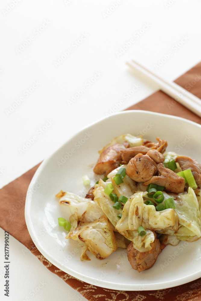Chinese food, cabbage and chicken stir fried Chinese food, cabbage and chicken stir fried