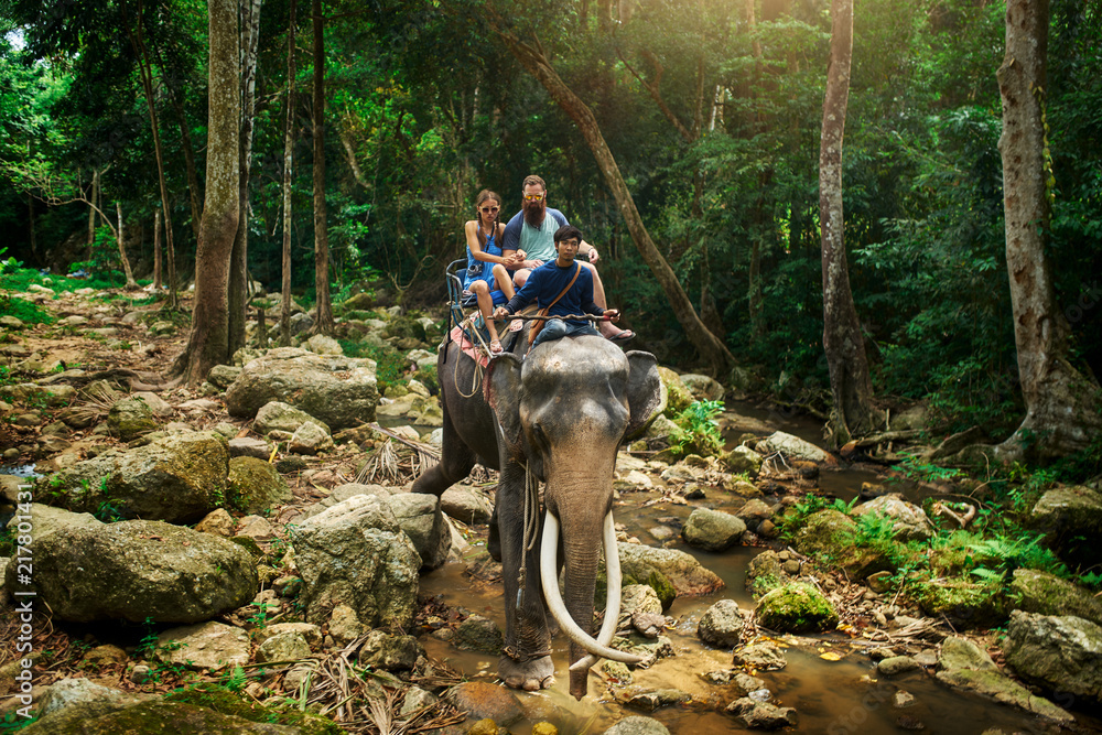 Naklejka premium tourist couple riding elephant through thai jungle by river on koh samui thailand