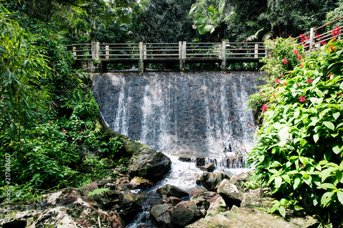 El Yunque National Forest - Puerto Rico