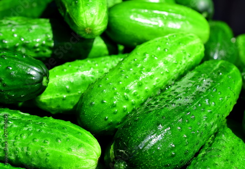  Lots of green cucumbers. Clean green cucumbers glisten. The size of vegetables is small. Cucumbers have thorns. Macro. Closeup.