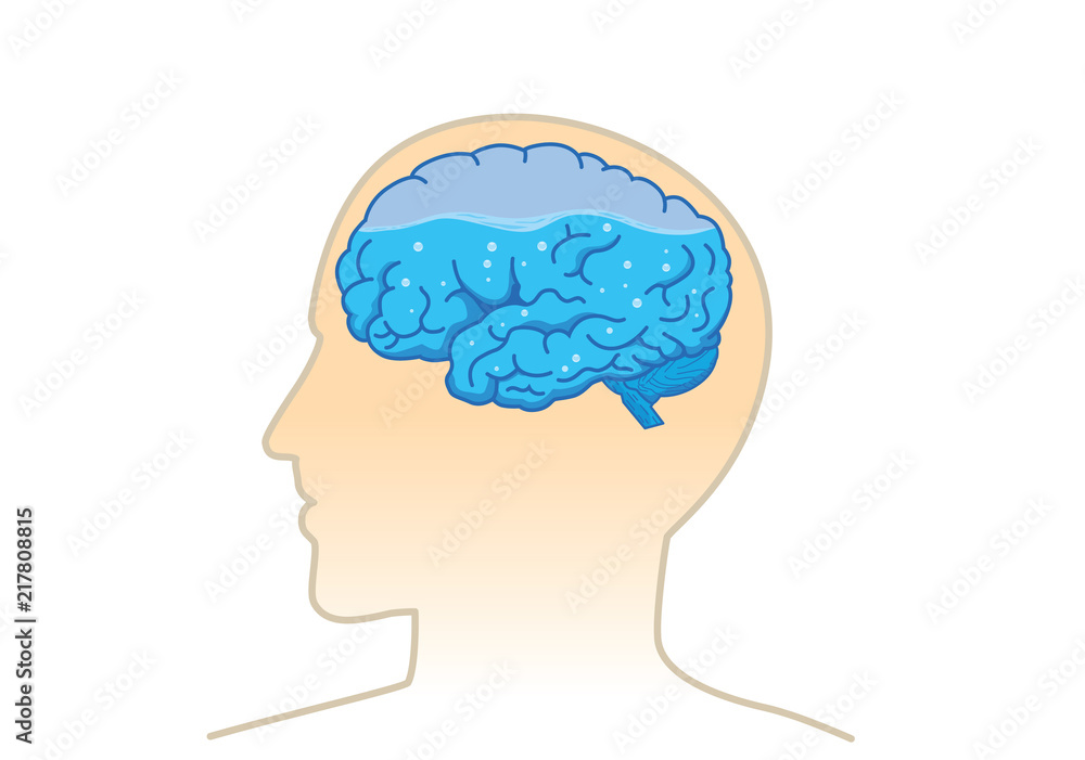 Water inside of the human brain. Illustration about composition of body. Water inside of the human brain. Illustration about composition of body.
