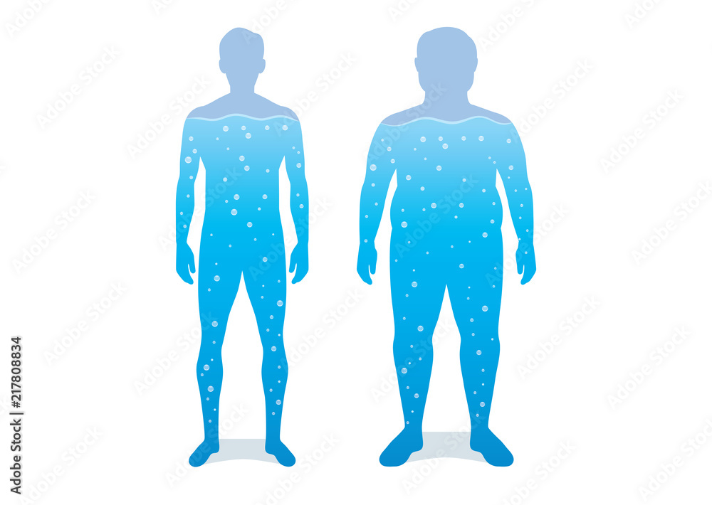 Water in difference body between shapely man and fat. Illustration about anatomy compare. Water in difference body between shapely man and fat. Illustration about anatomy compare.