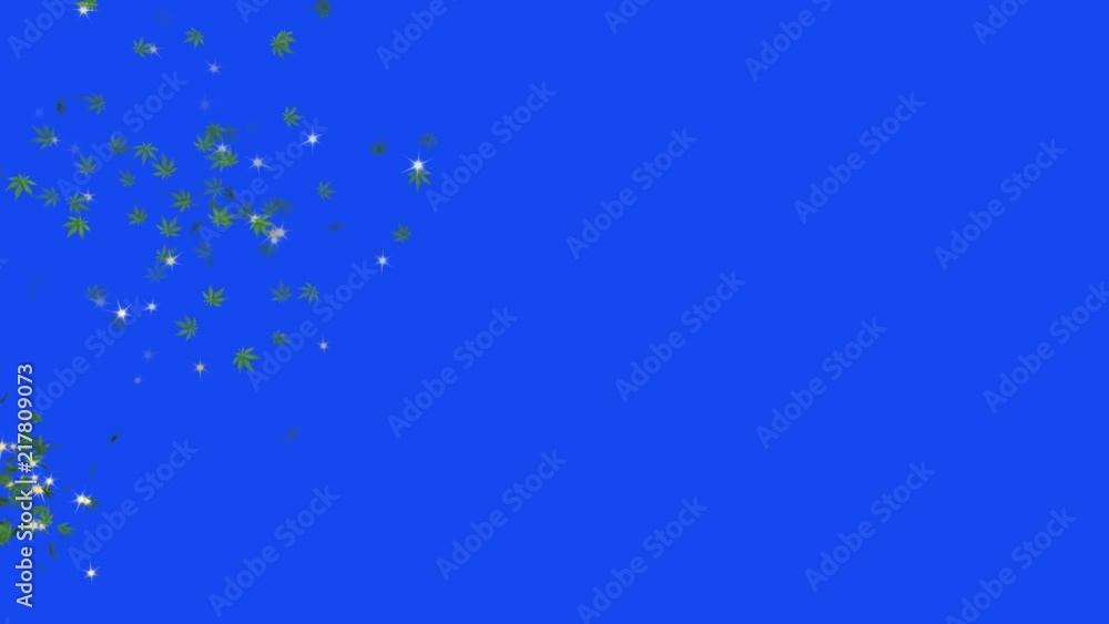Marijuana leaf - loop, 4K, blue screen Marijuana leaf - loop, 4K, blue screen