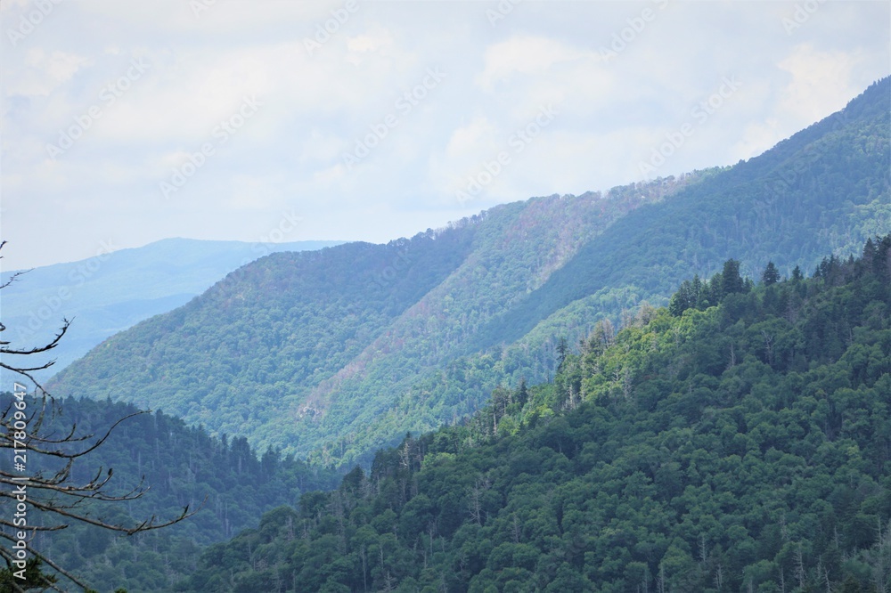 Beautiful view on the way to Clingmans Dome in Great Smoky Mountains National Park, Summer in NC USA.