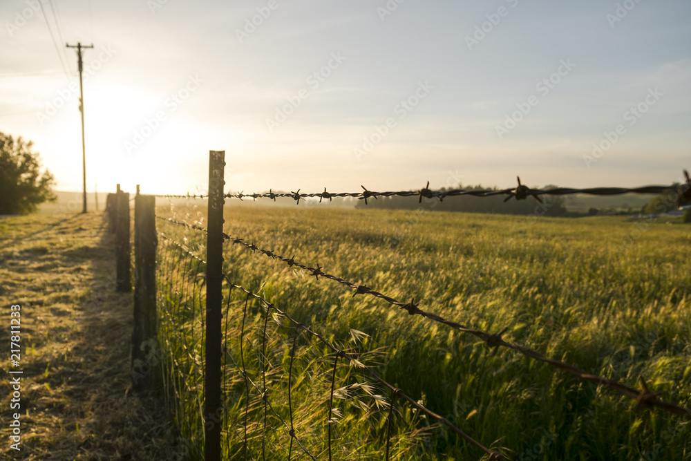 Obraz premium Grassland and Fence 3