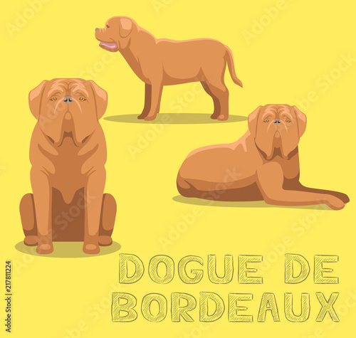 Dog Dogue De Bordeaux Cartoon Vector Illustration