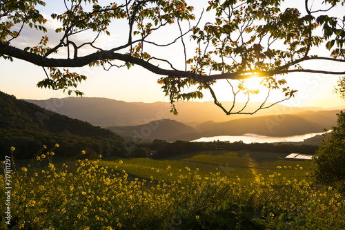 Late Sunset Napa Valley Hillside photo