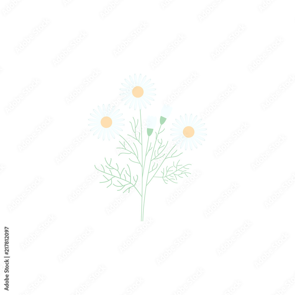 chamomile. Element of flower for mobile concept and web apps. Colored chamomile can be used for web and mobile