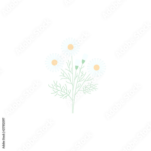 chamomile. Element of flower for mobile concept and web apps. Colored chamomile can be used for web and mobile