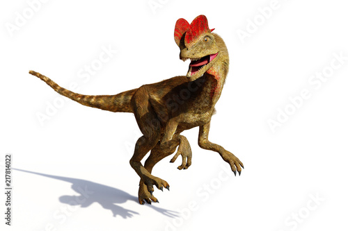 Dilophosaurus, theropod dinosaur from the Early Jurassic period (3d illustration isolated with shadow on white background) © dottedyeti
