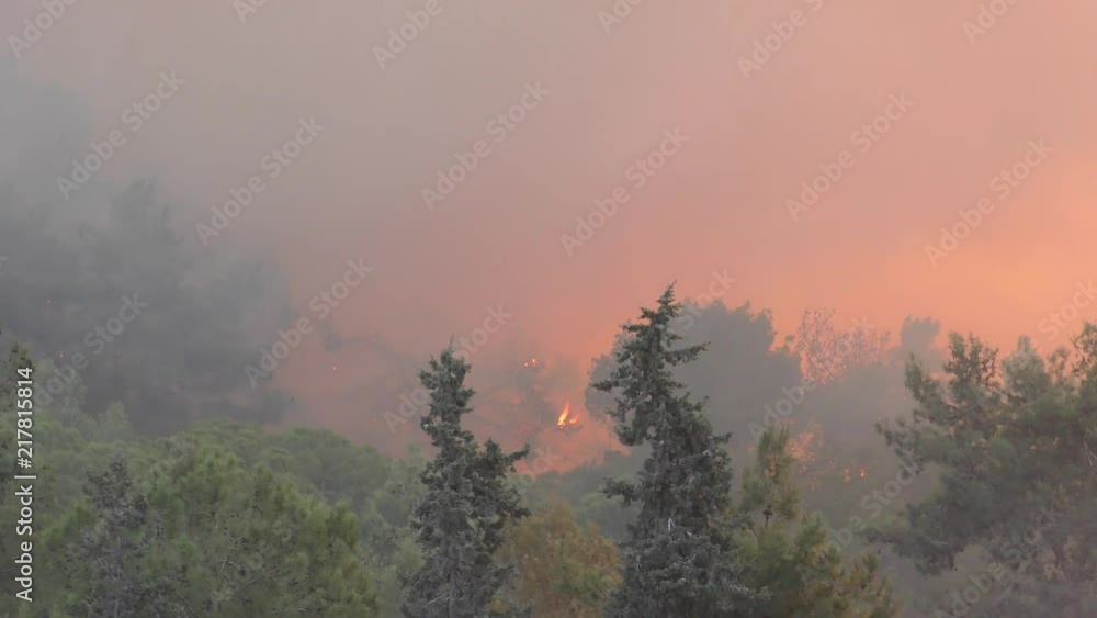 Trees catch fire near houses and residential urban buildings. With audio Trees catch fire near houses and residential urban buildings. With audio