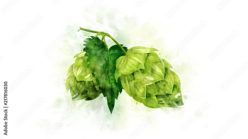 Animated image of hops on the alpha channel Animated image of hops on the alpha channel