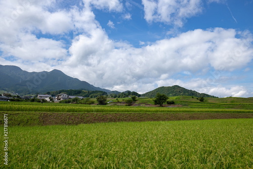 Landscape of countryside,green rice fields,Toon city,Ehime,Shikoku,Japan