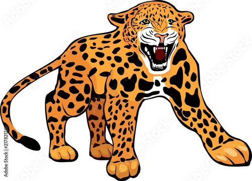 Fototapeta Naklejka Na Ścianę i Meble -  Growling and roaring leopard isolated on white vector illustration