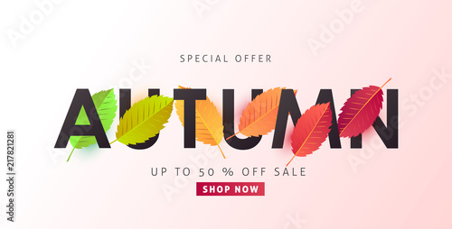 Autumn sale background layout decorate with leaves for shopping sale or promo poster and frame leaflet or web banner.Vector illustration template.