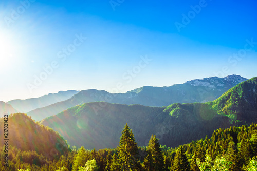 View on Sun over forest in the slovenian Alps