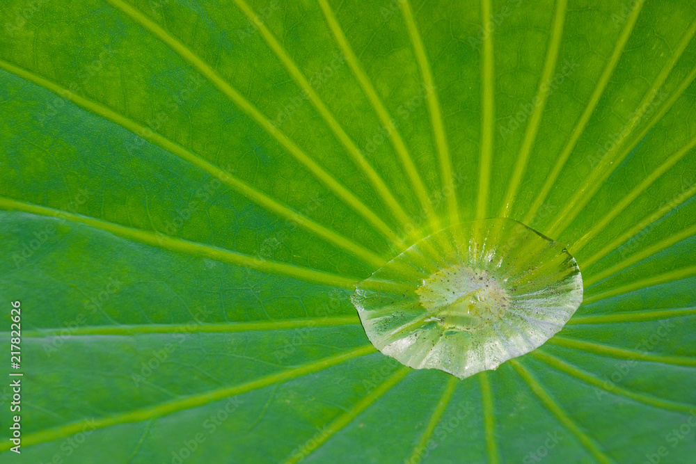 Drop of the sun Drop of the sun