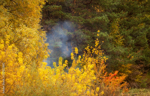 Smoke from fire in the forest in autumn