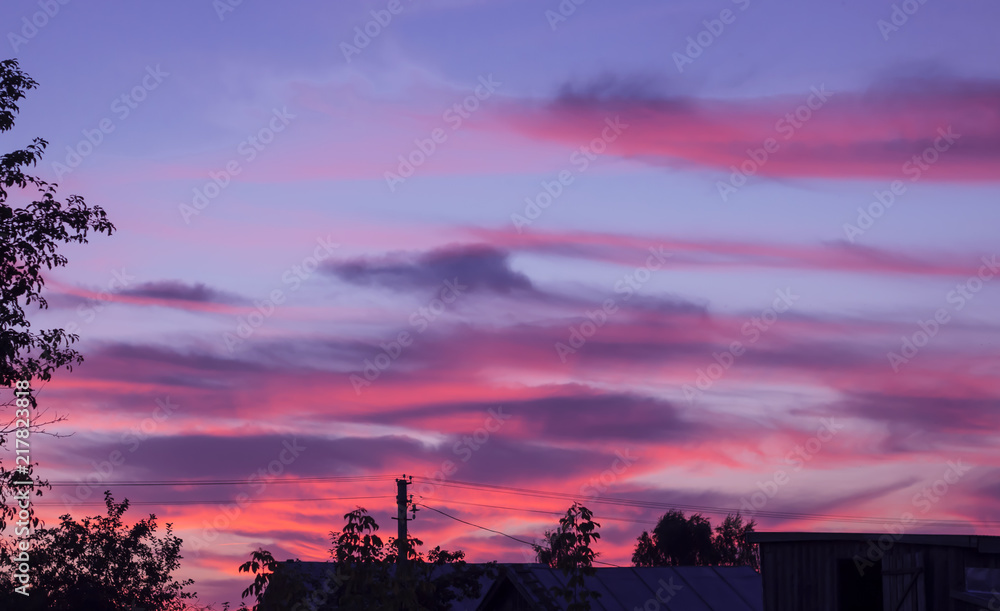 Nature in Twilight, purple sky at sunset
