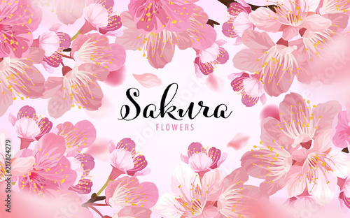 Sakura flowers background template. Vector set of blooming floral for holiday invitations, greeting card and fashion design.