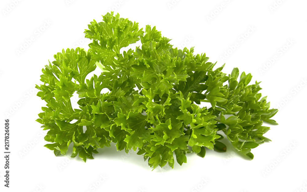 parsley isolated on a white background parsley isolated on a white background