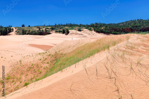 Fototapeta Naklejka Na Ścianę i Meble -  Sand dunes in Coral pink sand dunes state park, Utah.