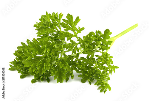 parsley isolated on a white background