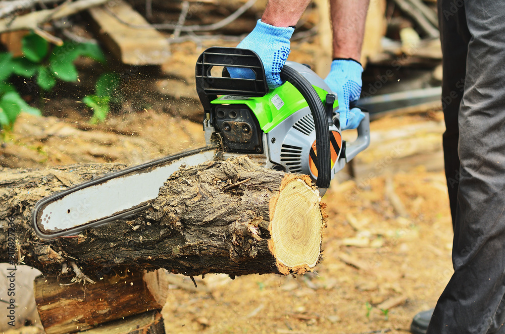 Fototapeta premium A man sprays a large thick deck with a chainsaw