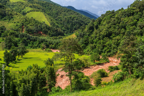 Golden Rice Field, a beautiful natural beauty on mountain in Nan Khun Nan  Rice Terraces,Nan Province, Thailand