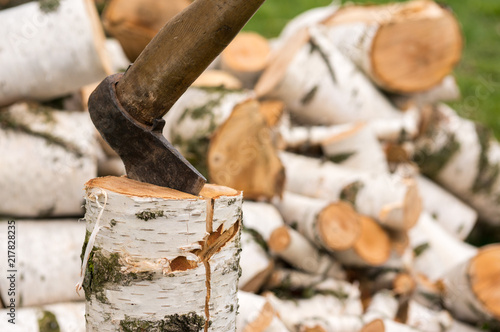 Fototapeta Naklejka Na Ścianę i Meble -  Cutting birch firewood on the lawn