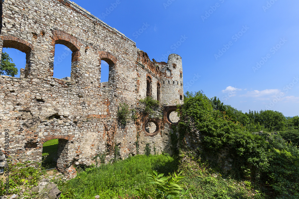 Ruins of 15th century medieval castle, Tenczyn Castle, Polish Jura, Rudno,  Poland