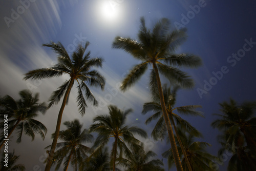 Tropical landscape in the night. Long exposure © daranna