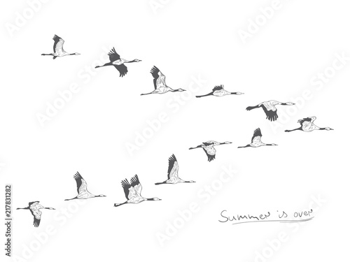 Flock of migrating storks flying. Migratory birds concept. Sketch style photo