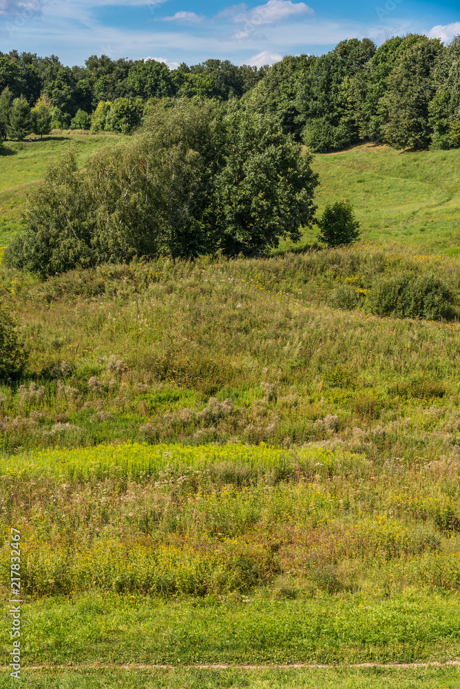 Beautiful summer countryside with small hills and trees on the horizon